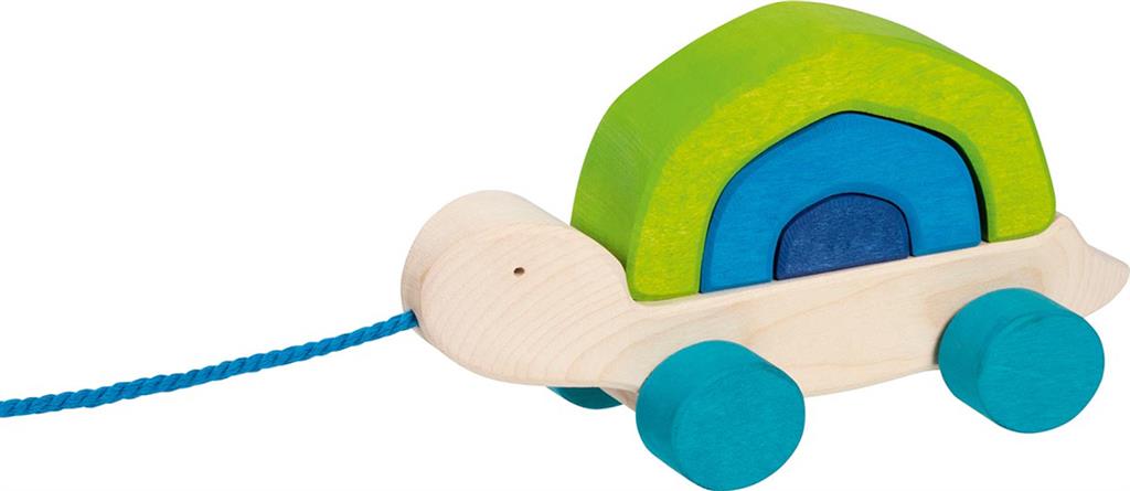 Trekschildpad