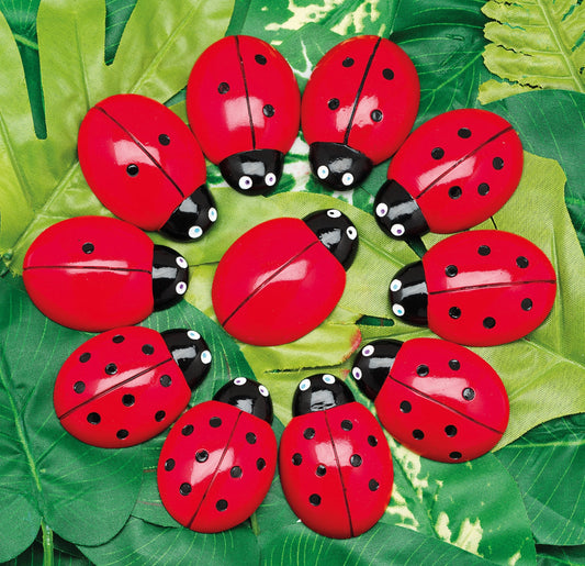 Ladybug Counting Stones