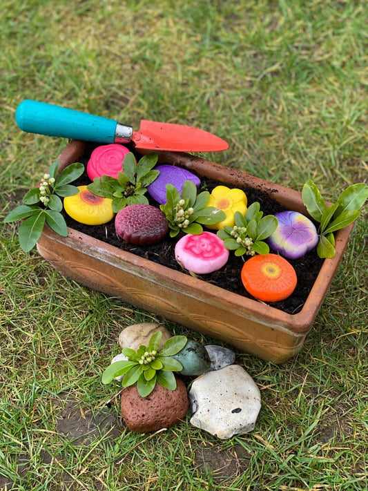 Sensory Play Stones | Flowers