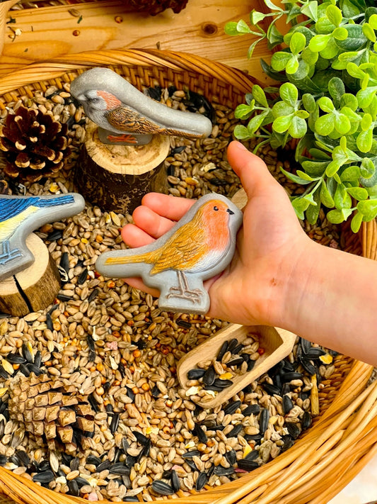 Sensory Play Stones | Birds