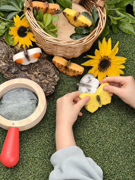 Sensory Play Stones | Butterflies