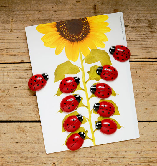 Ladybug Counting Cards